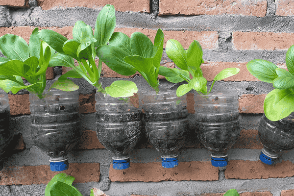 vasos criativos zabryel canva (2)