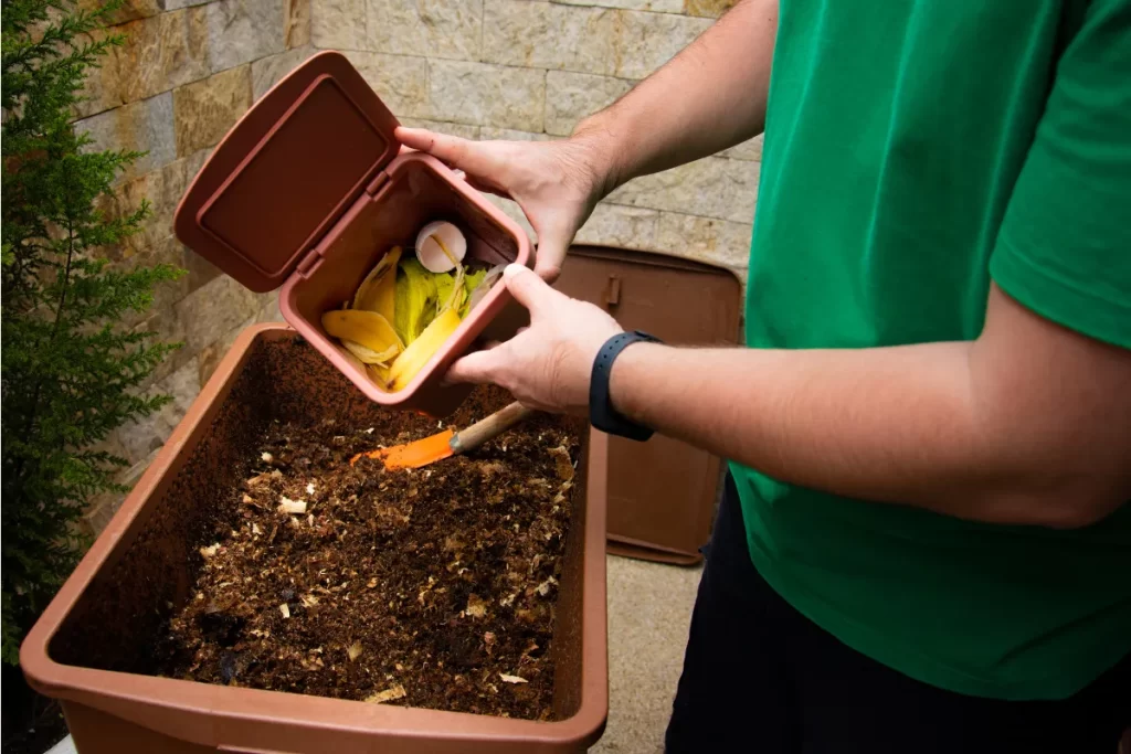 Compostagem Orgânica e Saúde