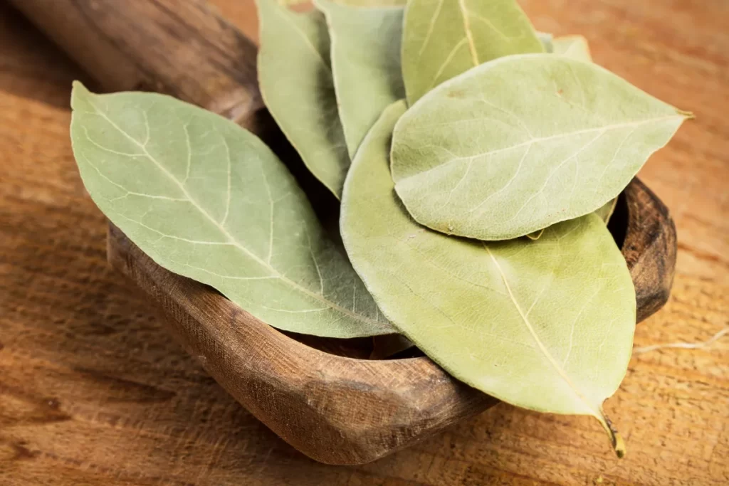 louro limpeza energia zabryel imagem canva