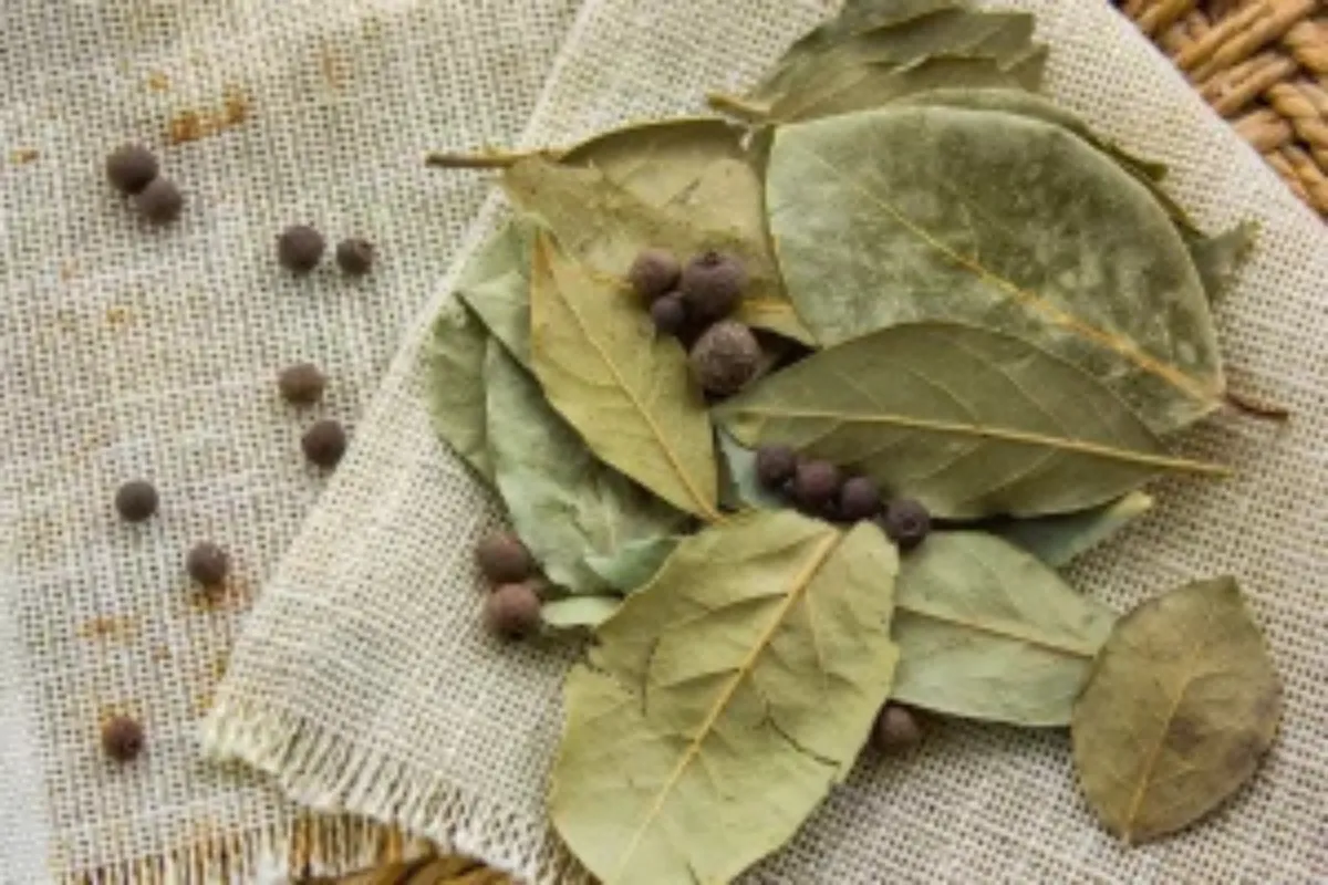 louro zabryel imagem canva