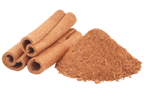 Imagem Canva Pro Para Zabryel.com | Reprodução não autorizada