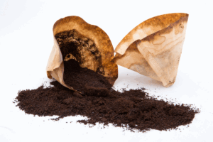 borra de café nas plantas