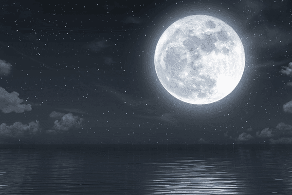 calendario lunar lua Cheia Imagem Canva