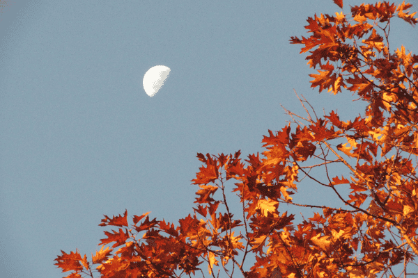 calendario lunar lua quarto Cresente Imagem Canva