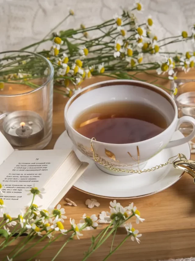 cropped chas que protegem zabryel Imagens Canva 3.webp