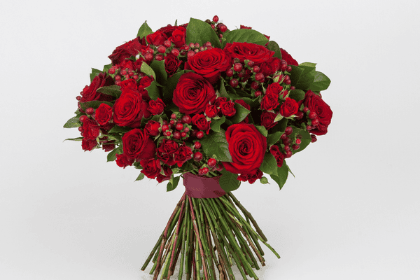 rosas vermelhas zabryel Imagem Canva (1)