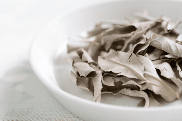 incenso de sálvia zabryel Imagem Canva (5)