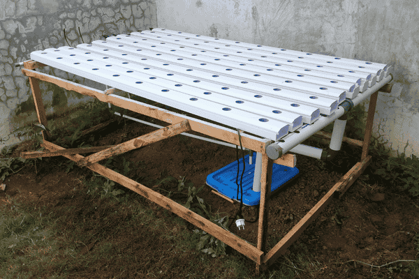 sistema hidroponico caseiro zabryel Imagem Canva (5)