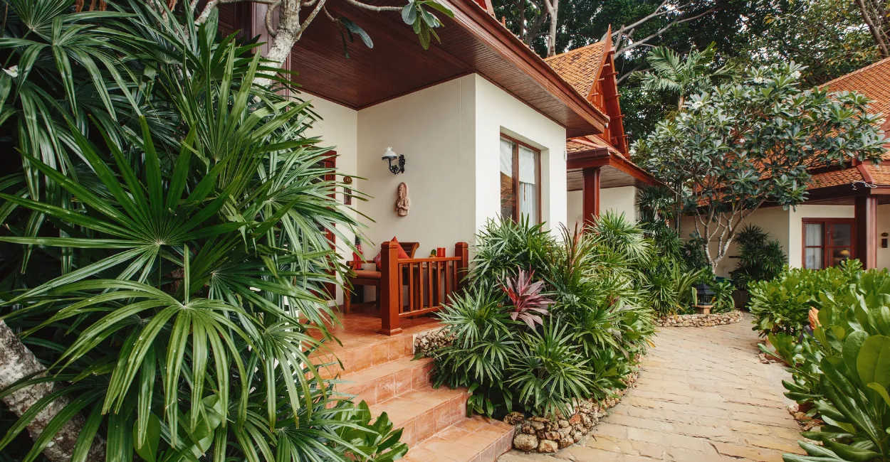 plantas para jardim externo com muito sol