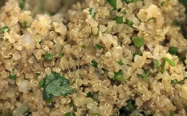 79 bela gil image asset receita