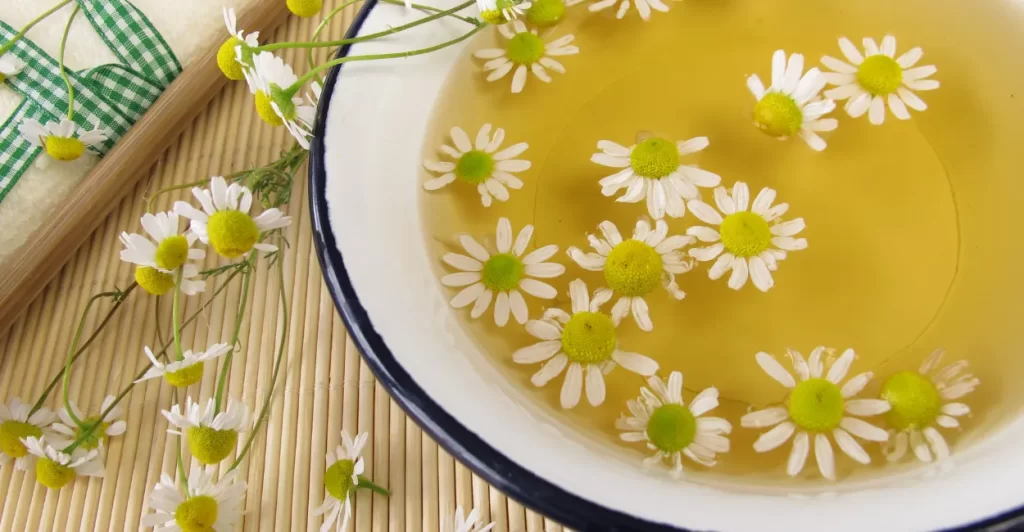 Banho Relaxante Camomila Imagem Canva Pro