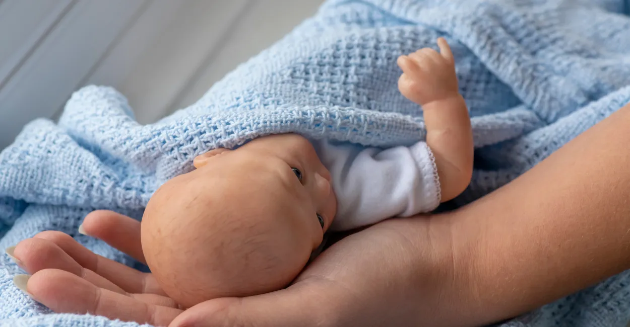 Bebê Reborn Imagem Canva Pro