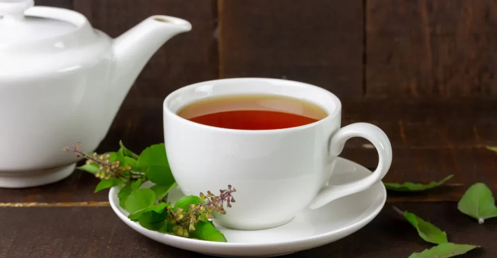 Benefícios do Chá de Espinheira Santa