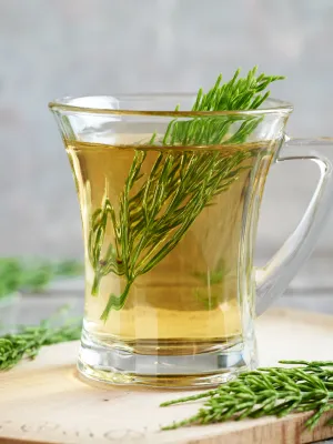 Como fazer o Chá de Cavalinha