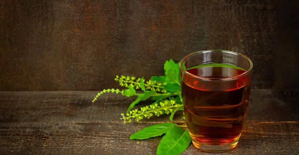 Cuidados no Uso do Chá de Espinheira Santa