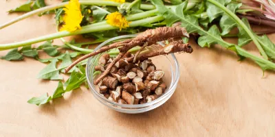 Descubra os poderes secretos por trás dessa flor - Dente-de-Leão