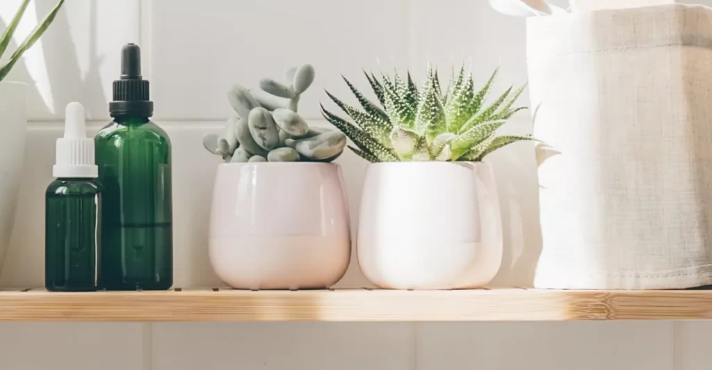 Imagem Canva Pro (5)