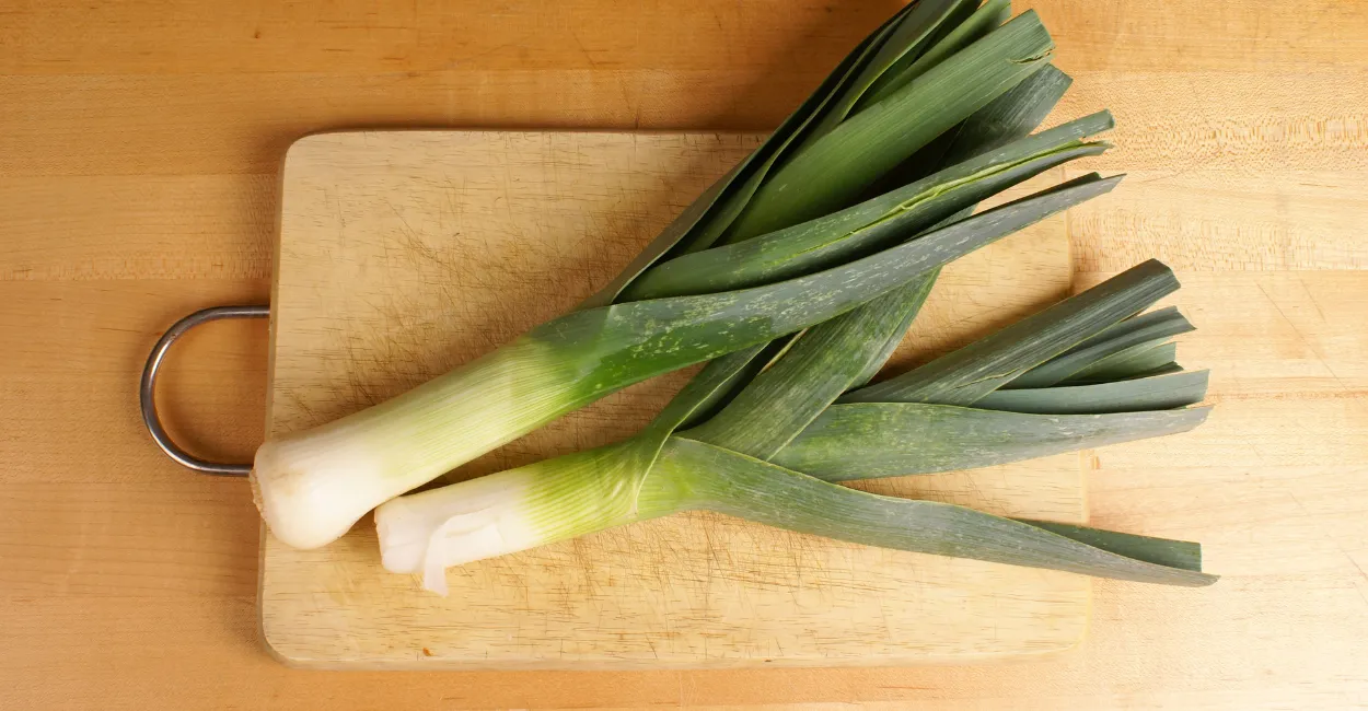 alho poró beneficios cultivo receitas