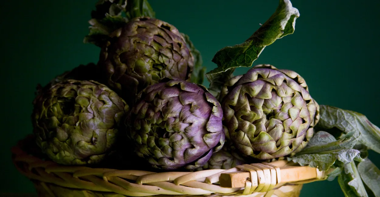 beneficios da alcachofra