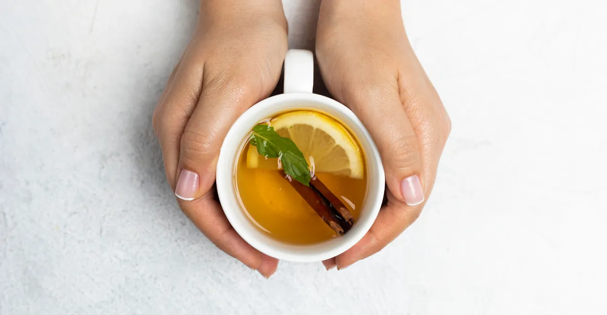 carqueja beneficios cultivo zabryel