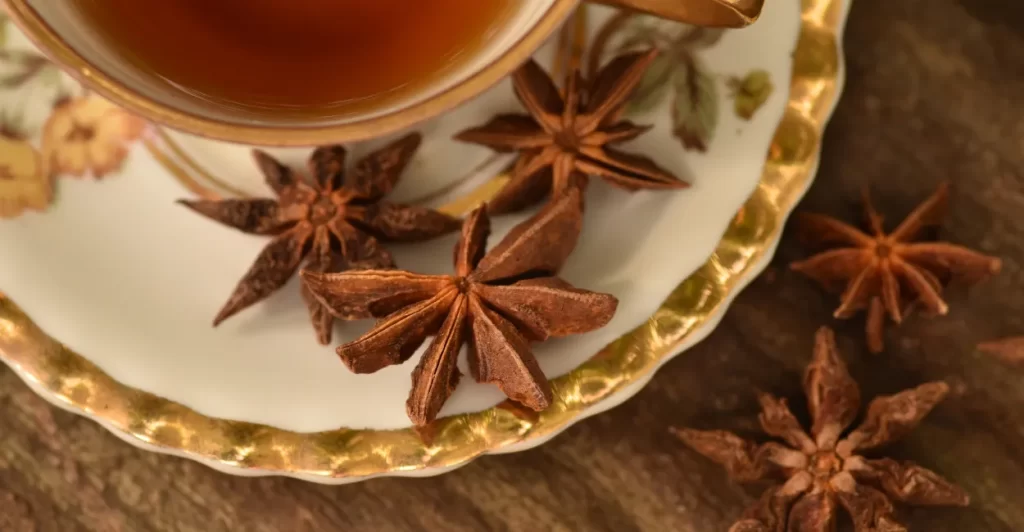 chá de anis estrelado capa (1)