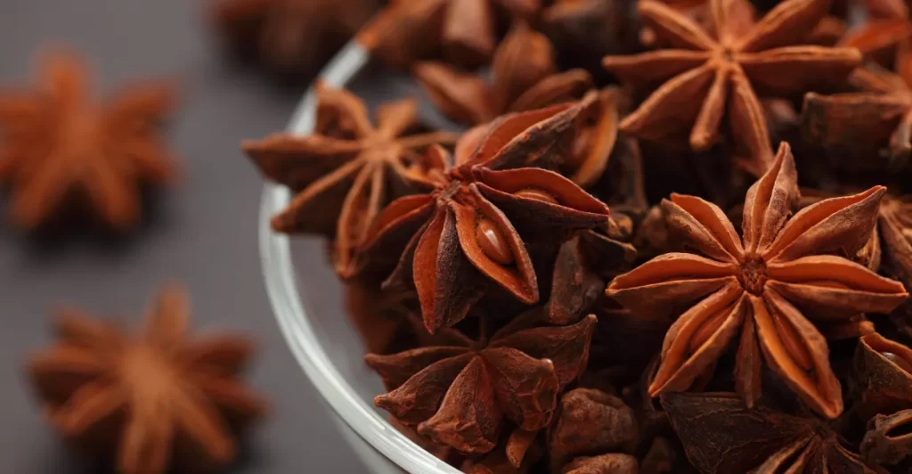 chá de anis estrelado servir bem (1)