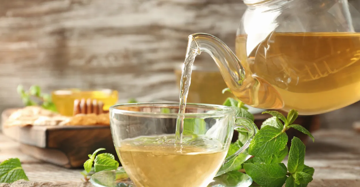 chá de boldo com limão para que serve zabryel (1)