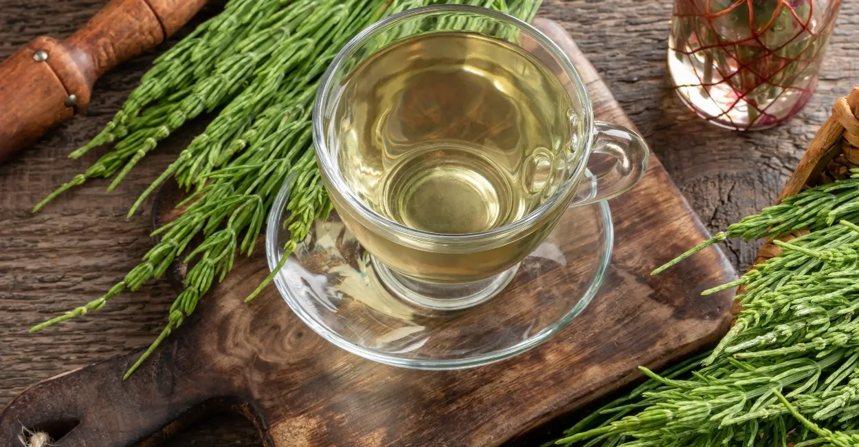 chá de cavalinha capa artigo