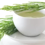 cha de cavalinha metadescrição zabryel canva pro