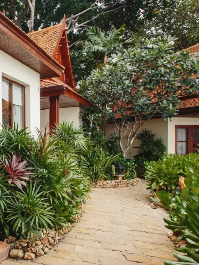 plantas para jardim externo com muito sol