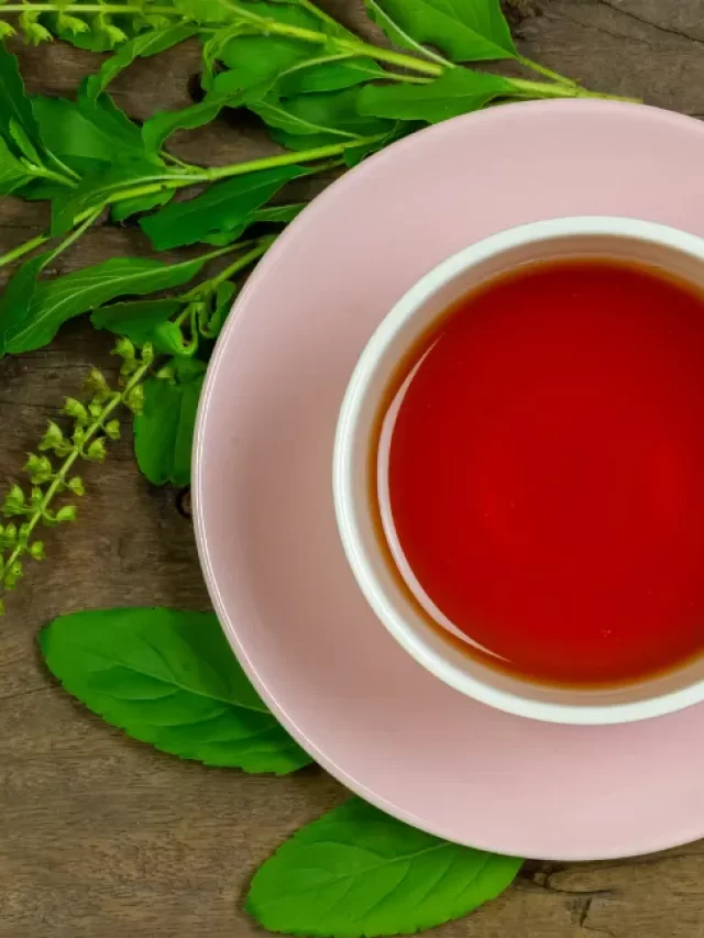 cropped CHA DE ESPINHEIRA SANTA.webp