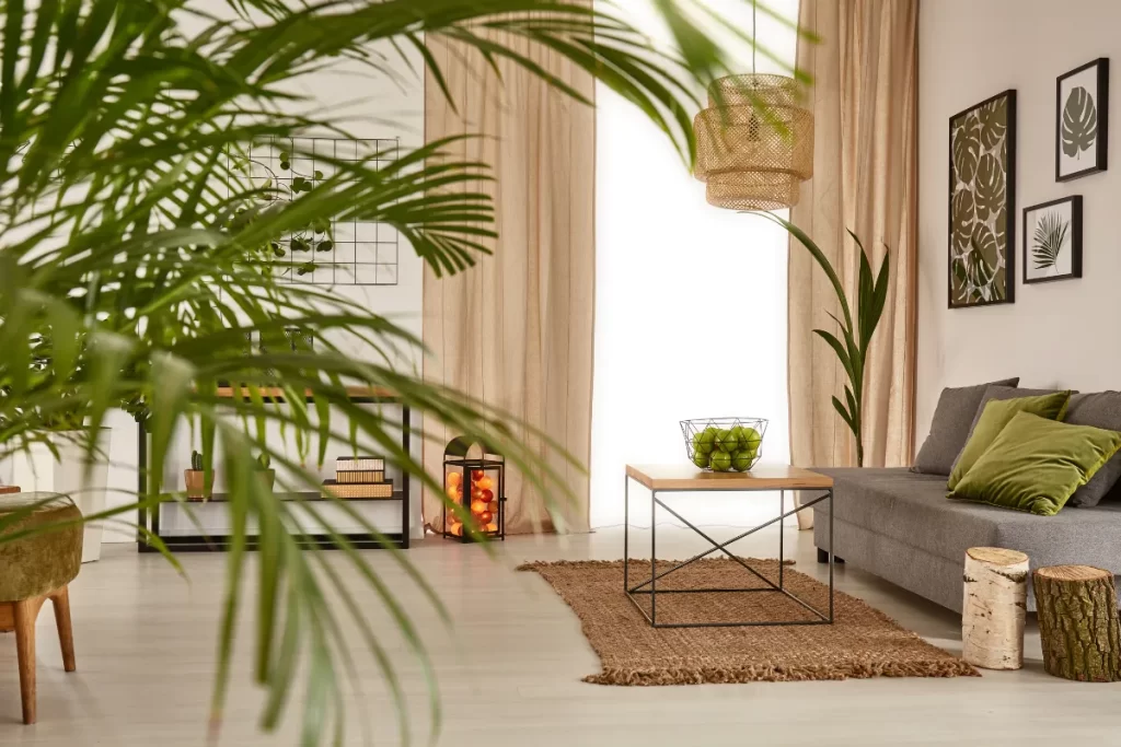 plantas na decoração zabryel Imagem Canva pro