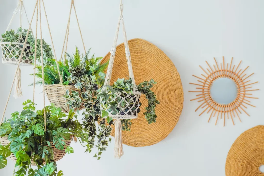 plantas na decoração zabryel Imagem Canva pro (3)