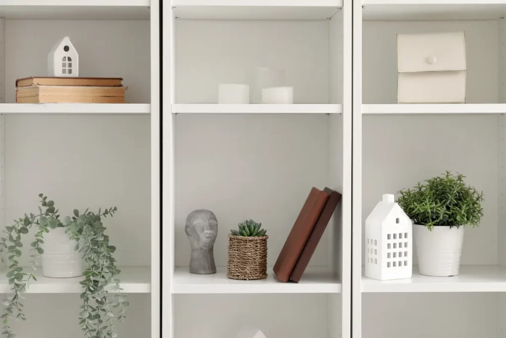 plantas na decoração zabryel Imagem Canva pro (4)