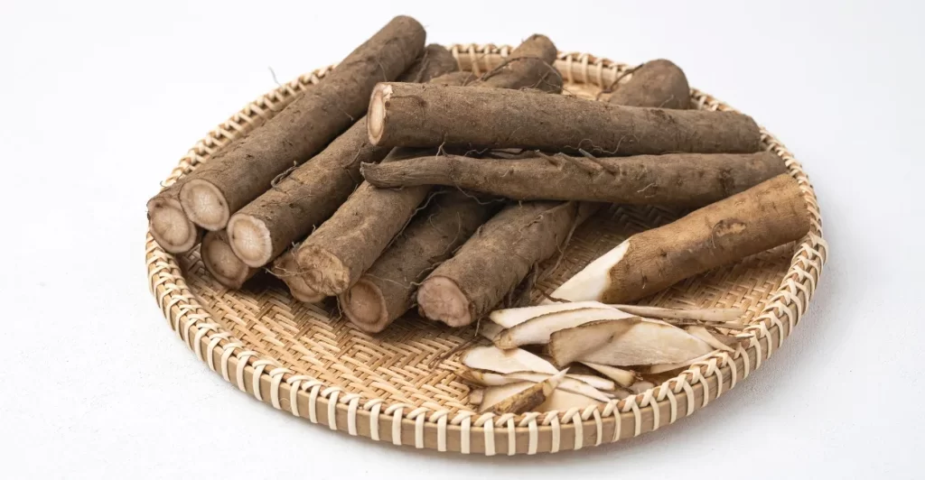 bardana beneficios cuidados como fazer cha