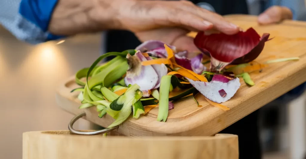 Compostagem Orgânica e Saúde compostagem domestica adubo natural