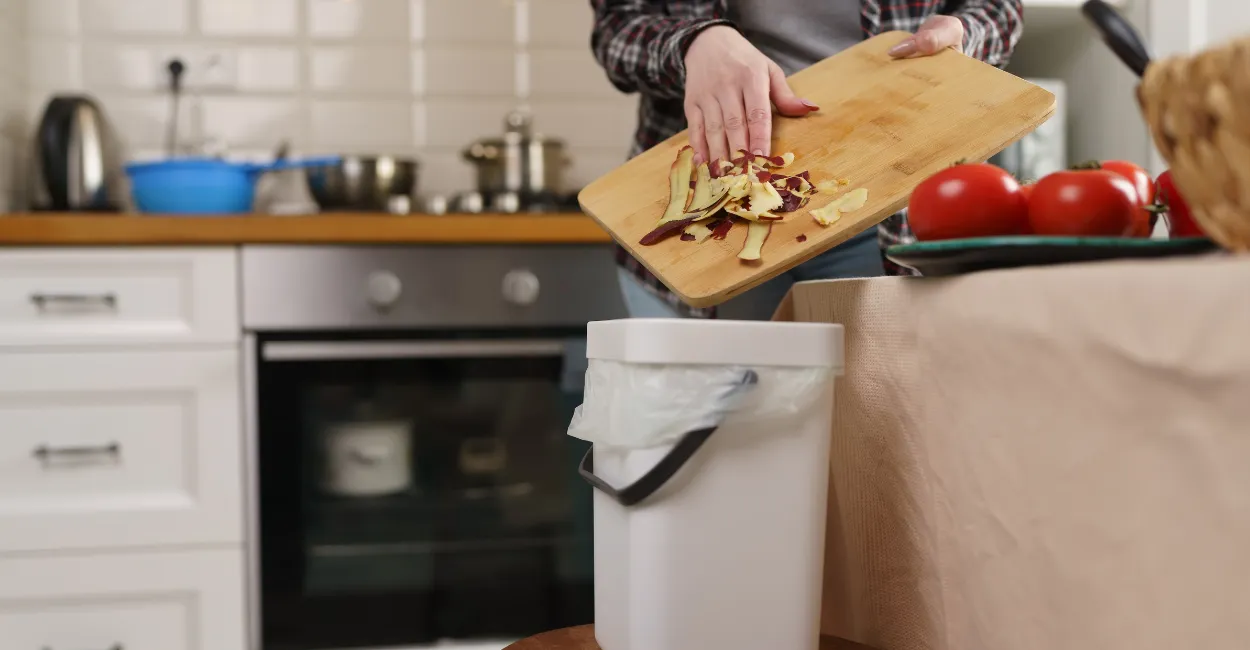 Compostagem Orgânica e Saúde compostagem domestica adubo natural (2)