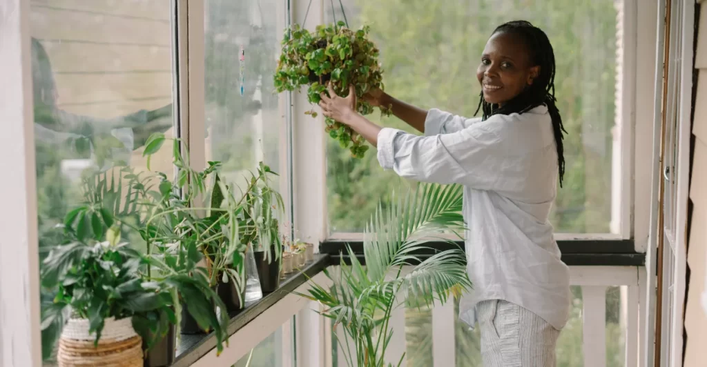 guia de jardinagem e cuidados domesticos