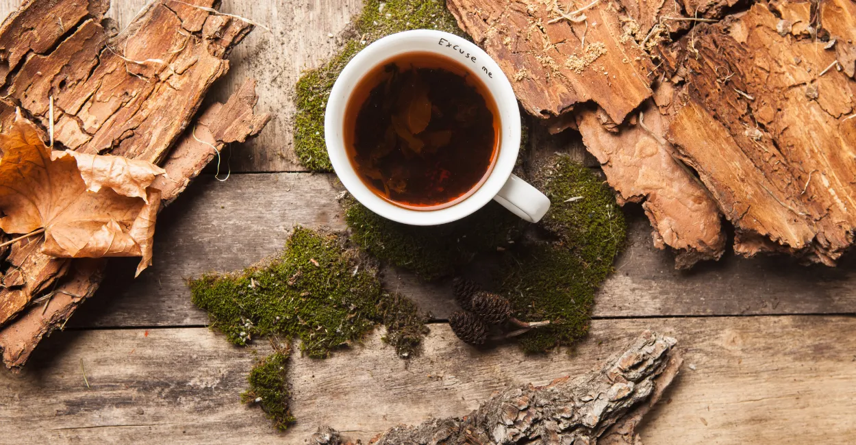 mulungu para que serve beneficios como usar 3 (1)