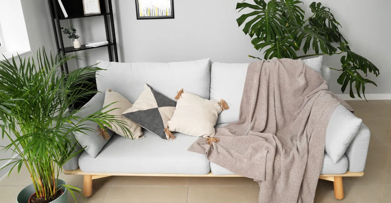 plantas-que-purificam-o-ar 5 Plantas que Purificam o Ar e Sobrevivem em Ambientes Fechados