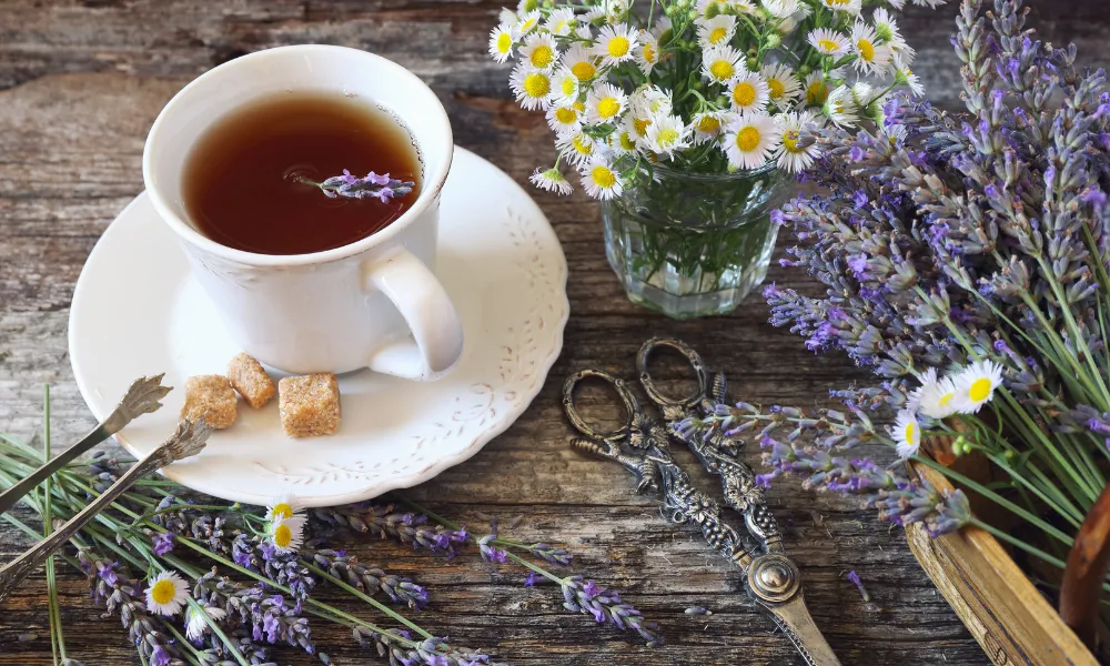Alfazema e Lavanda Diferenças, Usos e Benefícios (3)