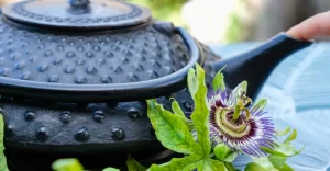 Chá de Passiflora relaxamento e bem estar diário