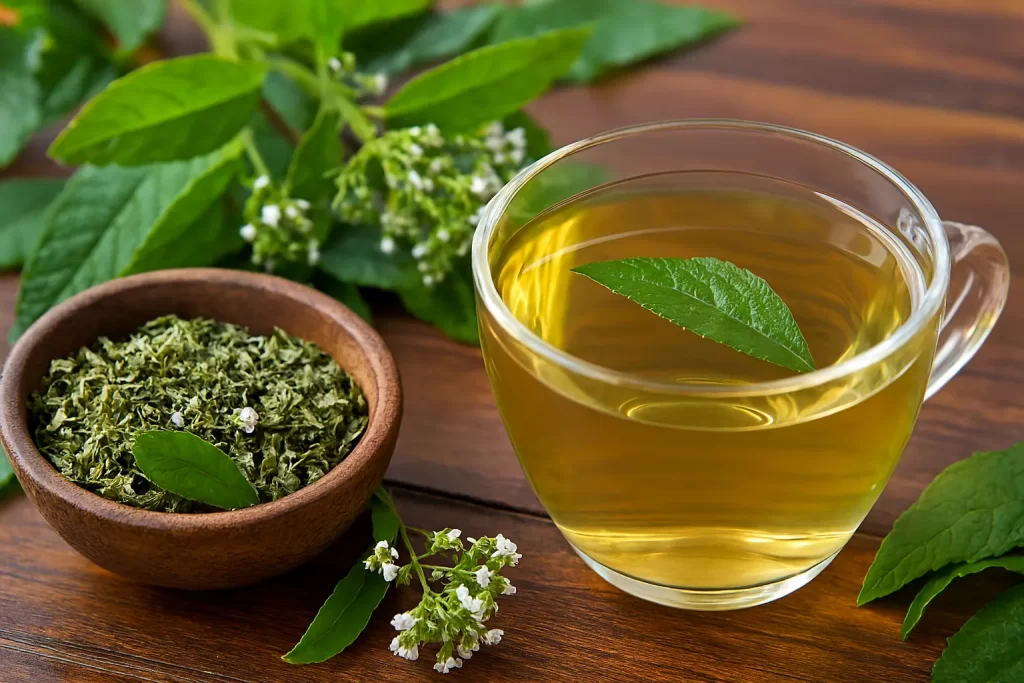 chá Erva Baleeira usos e beneficios imagem Zabryel.com