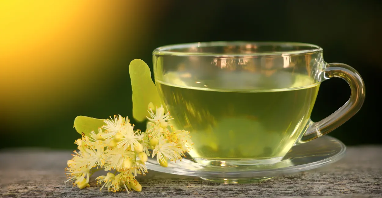 cha de tilia tilia cordata beneficios para que serve