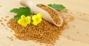 mostarda beneficios e receita