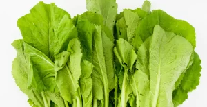 mostarda beneficios e receita (4)