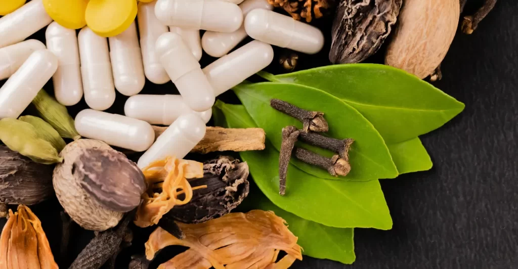 plantas-medicinais-lista-beneficios-usos-3-1024x532 Meditação do Chá: Benefícios e Passos para Transformar sua Energia