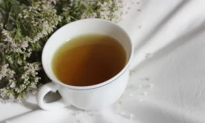 valeriana-para-que-serve-cha-300x180 Fitoenergética: a Energia das Plantas para Equilíbrio e Bem-Estar