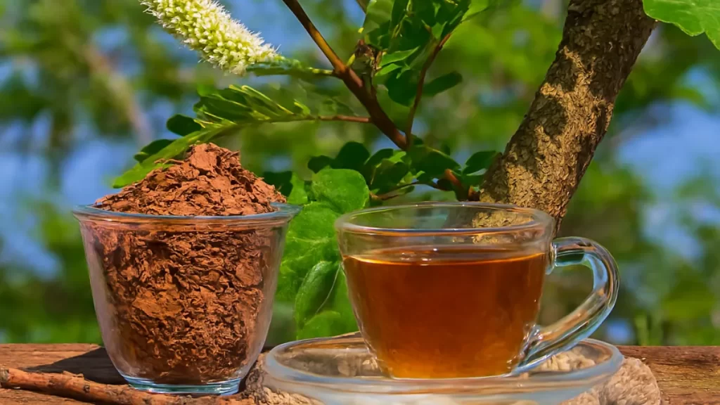 barbatimao para que serve beneficios usos (1) (1)