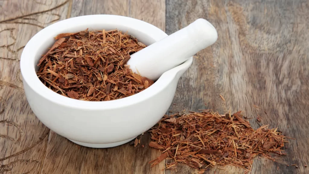 catuaba beneficios para que serve